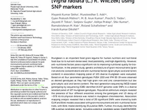 Genome wide association analysis for grain micronutrients and anti-nutritional traits in mungbean [Vigna radiata (L.) R. Wilczek] using SNP markers