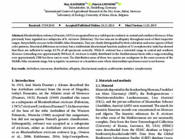 Revision of the taxonomic status of Rhodanthidium sticticum ordonezi (Dusmet, 1915), an anthidiine bee endemic to Morocco (Apoidea: Anthidiini)