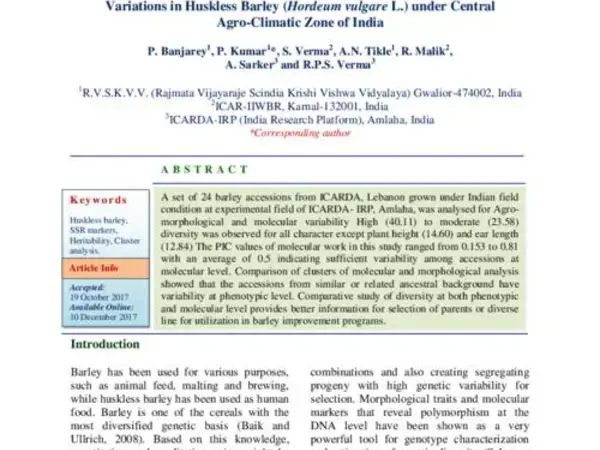 Comparative Analysis of Agro-Morphological and Molecular Variations in Huskless Barley (Hordeum vulgare L.) under Central Agro-Climatic Zone of India