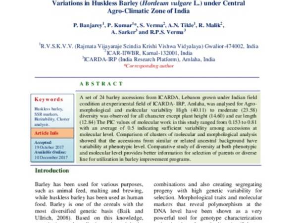 Comparative Analysis of Agro-Morphological and Molecular Variations in Huskless Barley (Hordeum vulgare L.) under Central Agro-Climatic Zone of India