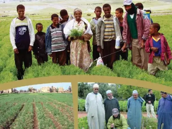 Ties that Bind: Africa and ICARDA