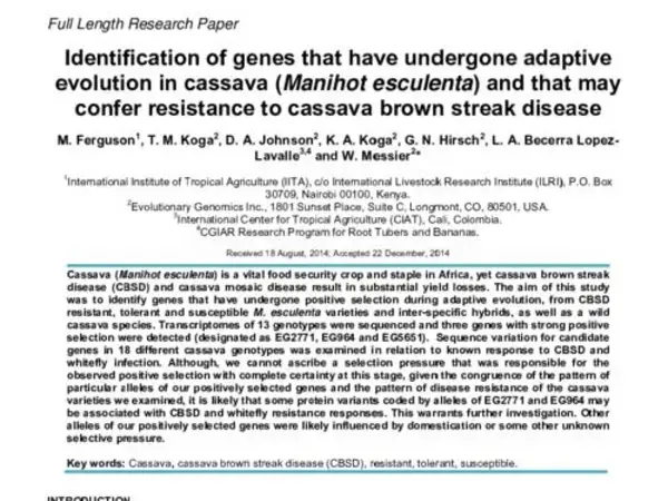 Identification of genes that have undergone adaptive evolution in cassava (Manihot esculenta) and that may confer resistance to cassava brown streak disease