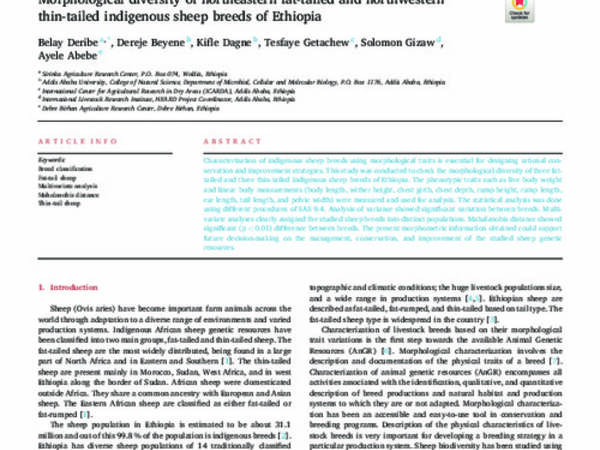 Morphological diversity of northeastern fat-tailed and northwestern thin-tailed indigenous sheep breeds of Ethiopia