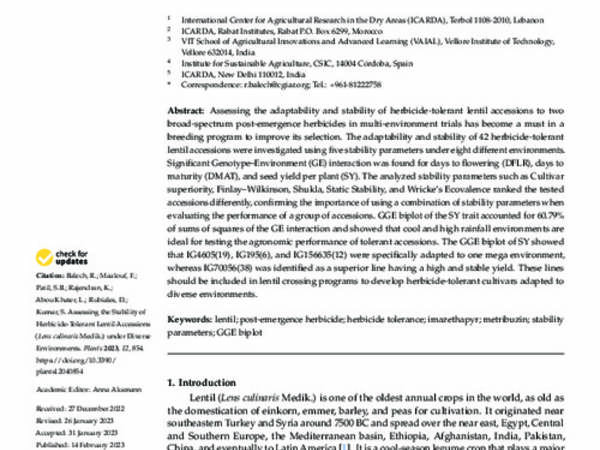 Assessing the Stability of Herbicide-Tolerant Lentil Accessions (Lens culinaris Medik.) under Diverse Environments