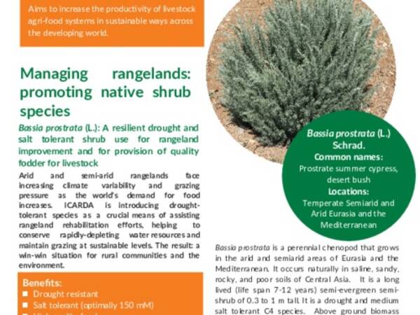 Managing rangelands: promoting native shrub species: Bassia prostrata (L.): A resilient drought and salt tolerant shrub use for rangeland improvement and for provision of quality fodder for livestock