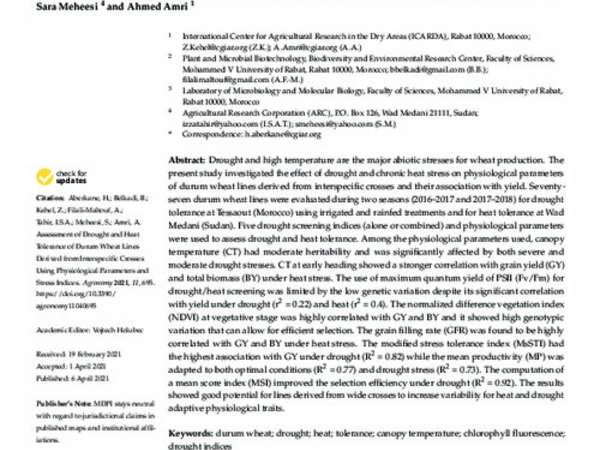 Assessment of Drought and Heat Tolerance of Durum Wheat Lines Derived from Interspecific Crosses Using Physiological Parameters and Stress Indices