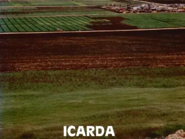 ICARDA Annual Report 1981