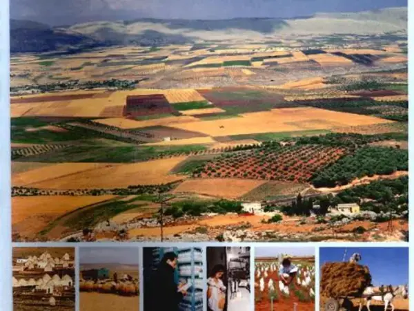 ICARDA Annual Report 1999