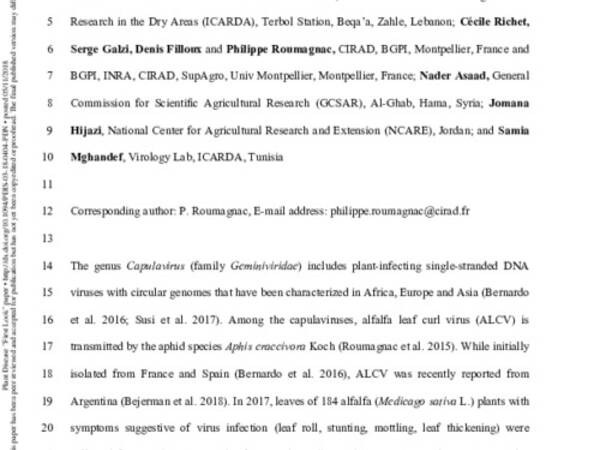 First Report of Alfalfa Leaf Curl Virus Affecting Alfalfa (Medicago sativa) in Jordan, Lebanon, Syria, and Tunisia