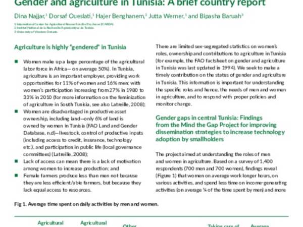 Gender and agriculture in Tunisia: A brief country report