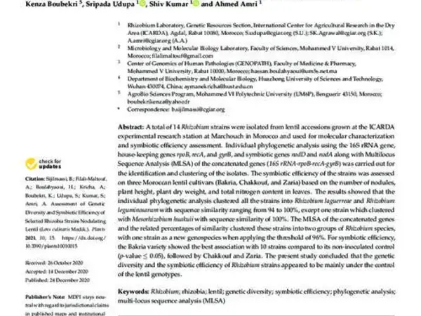 Assessment of Genetic Diversity and Symbiotic Efficiency of Selected Rhizobia Strains Nodulating Lentil (Lens culinaris Medik.)