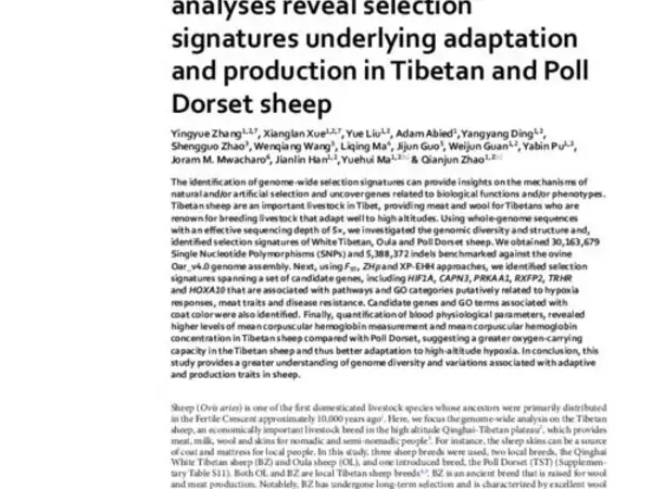 Genome‑wide comparative analyses reveal selection signatures underlying adaptation and production in Tibetan and Poll Dorset sheep