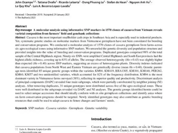 DNA fingerprinting reveals varietal composition of Vietnamese cassava germplasm (Manihot esculenta Crantz) from farmers’ field and genebank collections