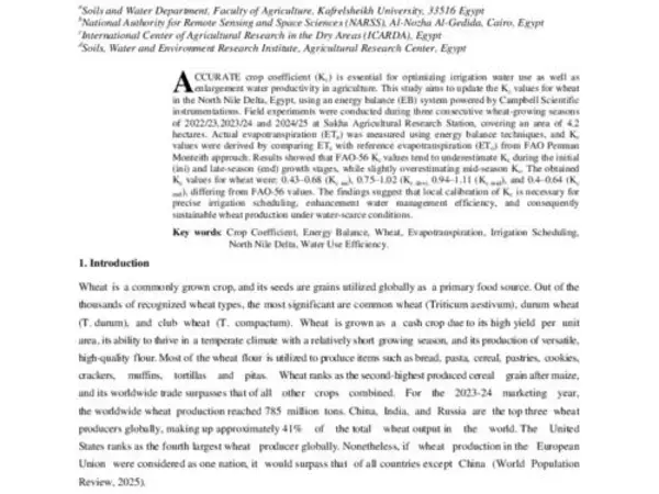 Adjusted Crop Coefficient for Wheat Using Energy Balance Systems in North Nile Delta of Egypt