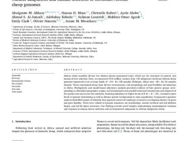 Natural adaptation and human selection of northeast African sheep genomes