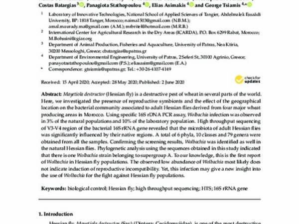 Detection of Wolbachia Infections in Natural and Laboratory Populations of the Moroccan Hessian Fly, Mayetiola destructor (Say)