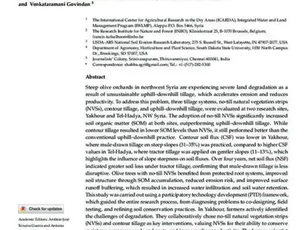 Restoring Soil and Ecosystem Functions in Hilly Olive Orchards in Northwestern Syria by Adopting Contour Tillage and Vegetation Strips in a Mediterranean Environment