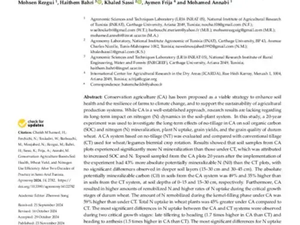 Conservation Agriculture Boosts Soil Health, Wheat Yield, and Nitrogen Use Efficiency After Two Decades of Practice in Semi-Arid Tunisia