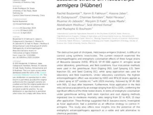 Pathogenicity of entomopathogenic Beauveria bassiana strains on Helicoverpa armigera (Hübner)