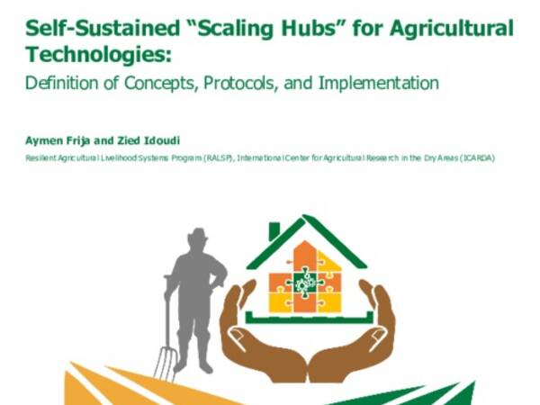 Self-Sustained “Scaling Hubs” for Agricultural Technologies: Definition of Concepts, Protocols, and Implementation