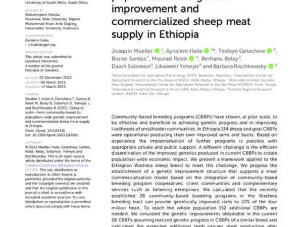 Going to scale—From community-based to population-wide genetic improvement and commercialized sheep meat supply in Ethiopia