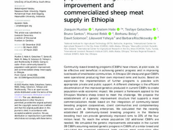 Going to scale—From community-based to population-wide genetic improvement and commercialized sheep meat supply in Ethiopia