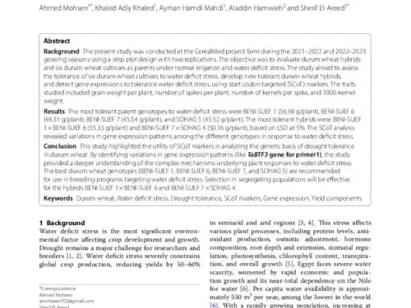 Gene expression study of durum wheat hybrids under water deficit conditions