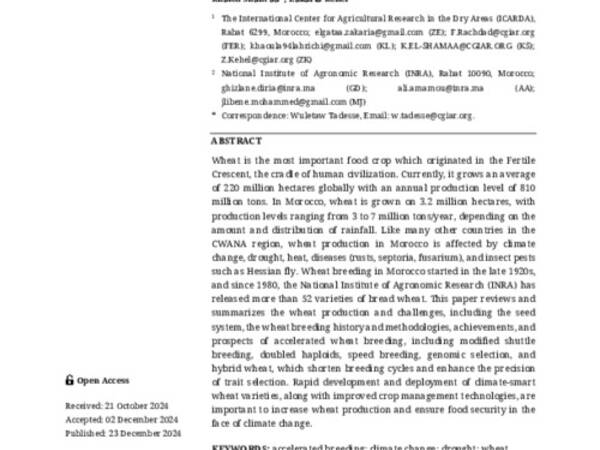 Accelerated Wheat Breeding and Production in the Face of Climate Change: The Case of Morocco