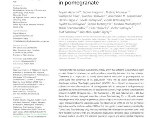 Two major chromosome evolution events with unrivaled conserved gene content in pomegranate