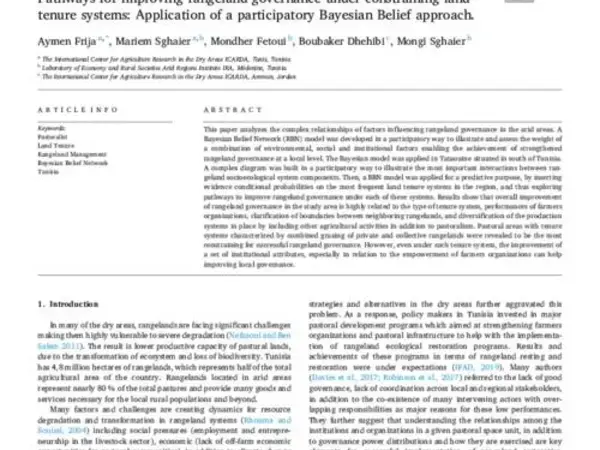 Pathways for improving rangeland governance under constraining land tenure systems: Application of a participatory Bayesian Belief approach