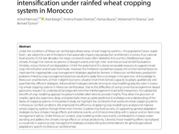 Modeling genotype × environment × management interactions for a sustainable intensification under rainfed wheat cropping system in Morocco