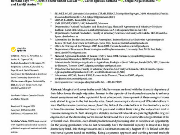 Social Network Analysis of the Stakeholders Involved in the Dromedary Sector in the Mediterranean Region