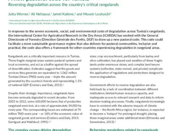 A new pastoral code for Tunisia: Reversing degradation across the country’s critical rangelands
