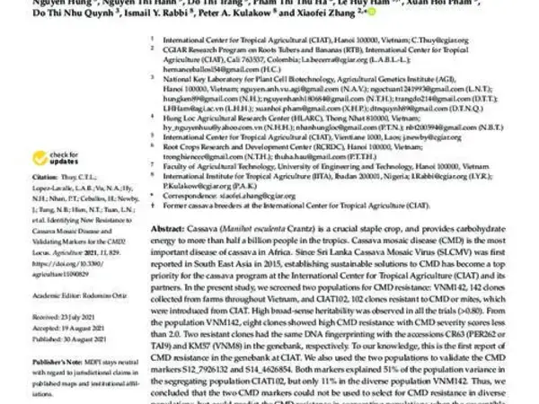 Identifying New Resistance to Cassava Mosaic Disease and Validating Markers for the CMD2 Locus