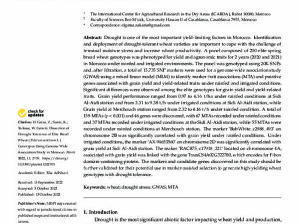 Genetic Dissection of Drought Tolerance of Elite Bread Wheat (Triticum aestivum L.) Genotypes Using Genome Wide Association Study in Morocco