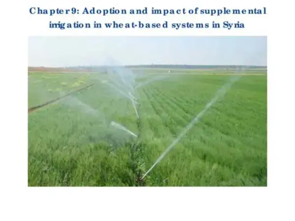 Adoption and impact of supplemental irrigation in wheat-based systems in Syria