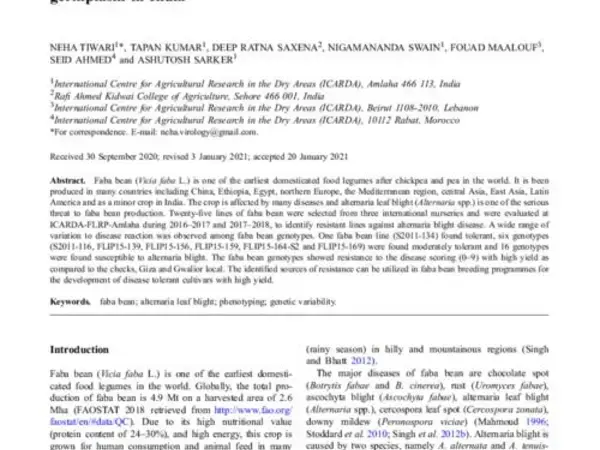 Evaluation of disease resistant and high yielding faba bean germplasm in India