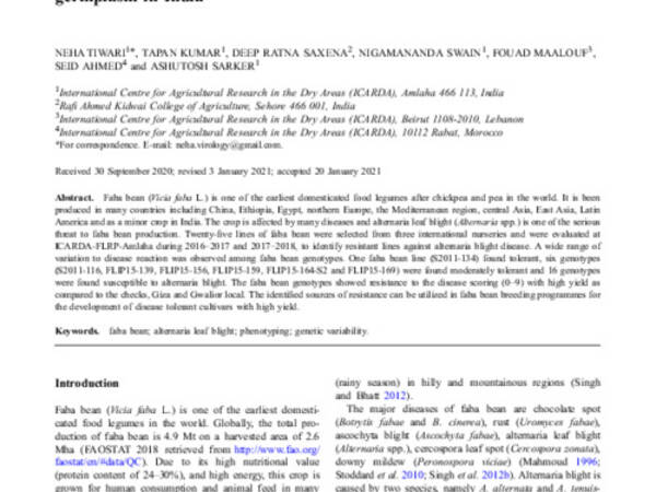 Evaluation of disease resistant and high yielding faba bean germplasm in India