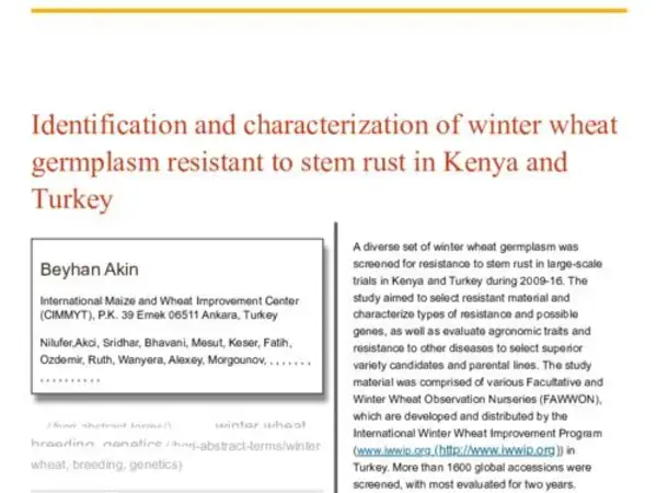 Identification and characterization of winter wheat germplasm resistant to stem rust in Kenya and Turkey