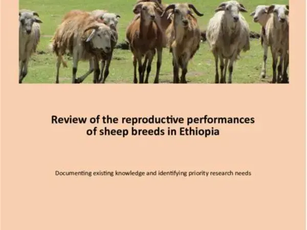 Review of the reproductive performances of sheep breeds in Ethiopia