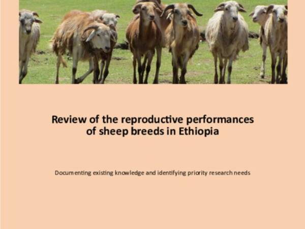 Review of the reproductive performances of sheep breeds in Ethiopia