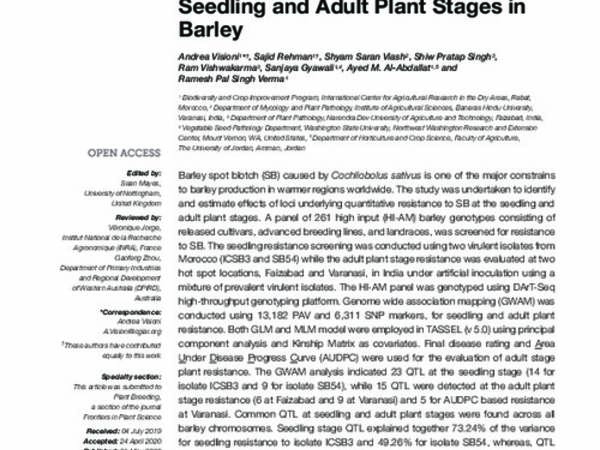 Genome Wide Association Mapping of Spot Blotch Resistance at Seedling and Adult Plant Stages in Barley