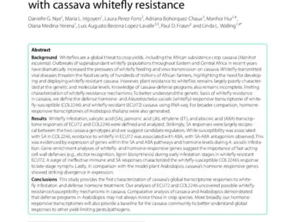 Integrative transcriptomics reveals association of abscisic acid and lignin pathways with cassava whitefly resistance