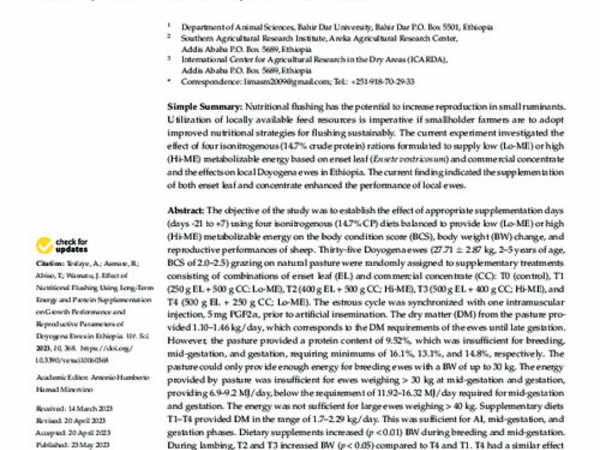 Effect of Nutritional Flushing Using Long-Term Energy and Protein Supplementation on Growth Performance and Reproductive Parameters of Doyogena Ewes in Ethiopia