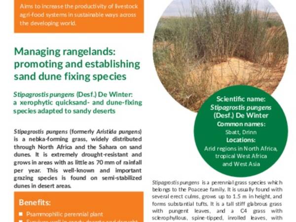 Managing rangelands: promoting and establishing sand dune fixing species: Stipagrostis pungens (Desf.) De Winter: a xerophytic quicksand- and dune-fixing species adapted to sandy deserts