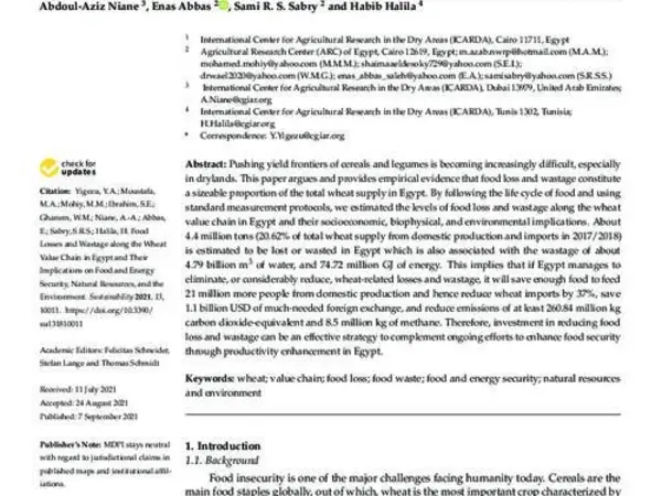 Food Losses and Wastage along the Wheat Value Chain in Egypt and Their Implications on Food and Energy Security, Natural Resources, and the Environment
