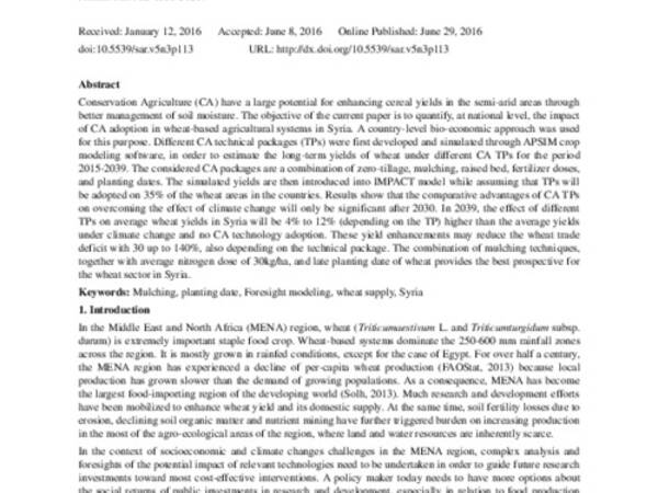 Country-Level Bio-Economic Modeling of Agricultural Technologies to Enhance Wheat-Based Systems Productivity in the Dry Areas