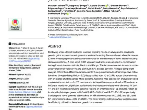 Genome-wide association analysis of Mexican bread wheat landraces for resistance to yellow and stem rust