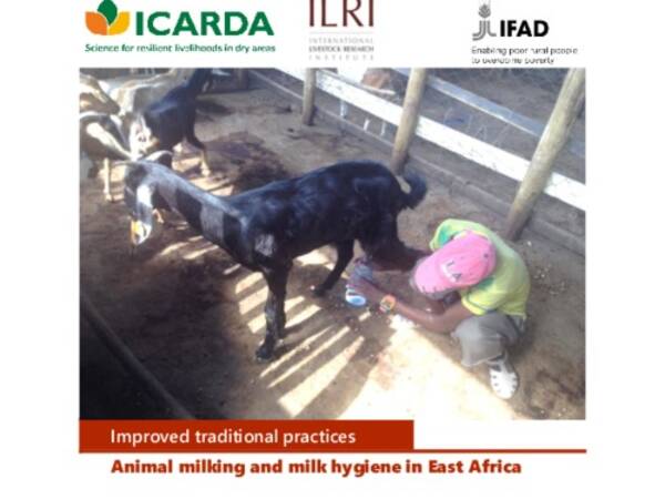 Animal milking and milk hygiene in East Africa