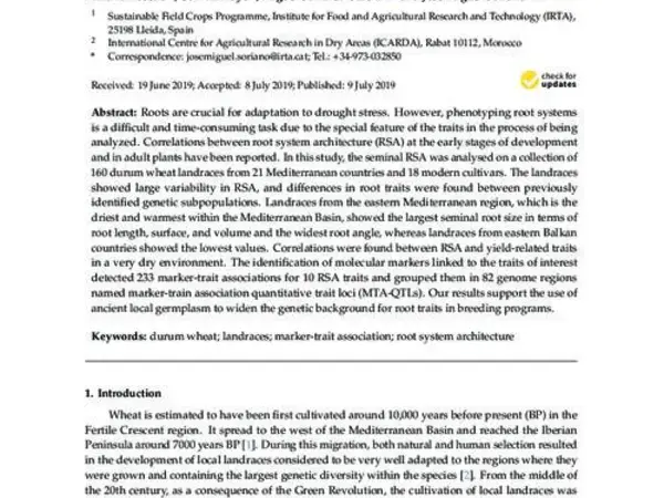 Genetic Dissection of the Seminal Root System Architecture in Mediterranean Durum Wheat Landraces by Genome-Wide Association Study